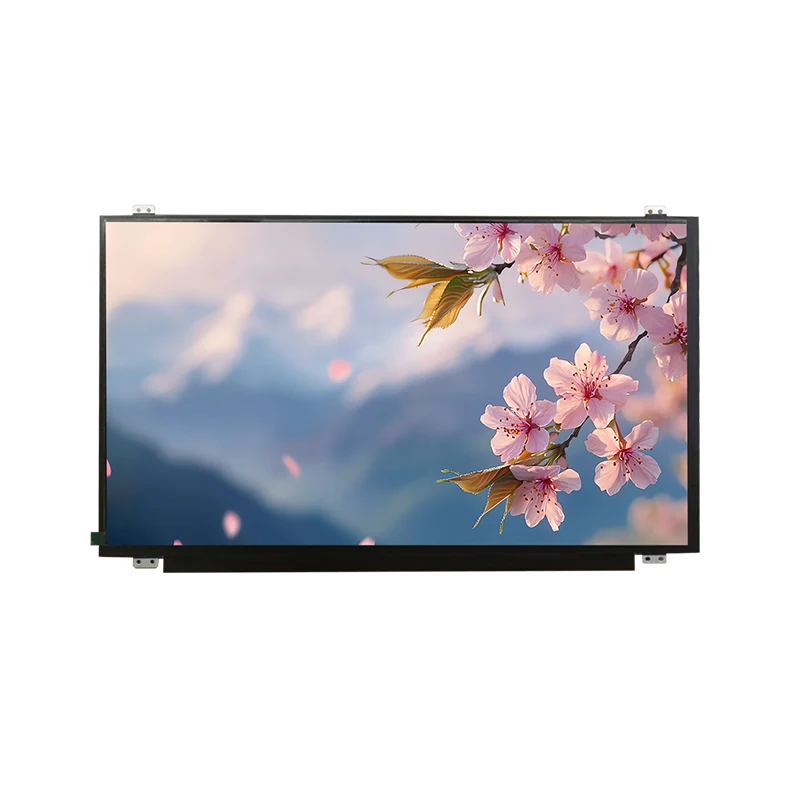 15.6 'HD Geniş Temp IPS TFT LCD Ekran Modülü
