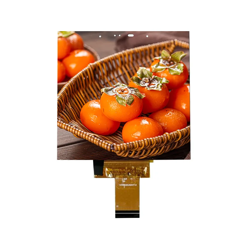 Akıllı Ev için 3,95 İnç Küçük Boyutlu IPS Hücre İçi Dokunmatik Ekran Modülü Akıllı Ev için 3,95 İnç Küçük Boyutlu IPS Hücre İçi Dokunmatik Ekran Modülü