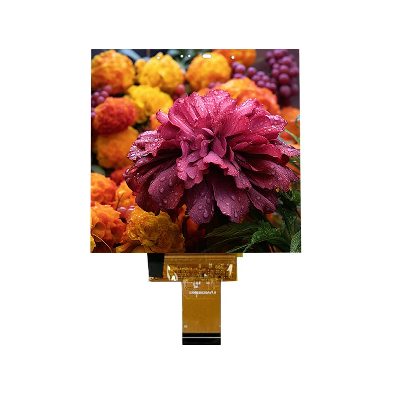 3,95 İnç Düşük Güçlü 500 Nit IPS İnce Hücre İçi Dokunmatik Ekran Modülü 3,95 İnç Düşük Güçlü 500 Nit IPS İnce Hücre İçi Dokunmatik Ekran Modülü